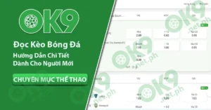 Hướng dẫn đọc kèo bóng đá